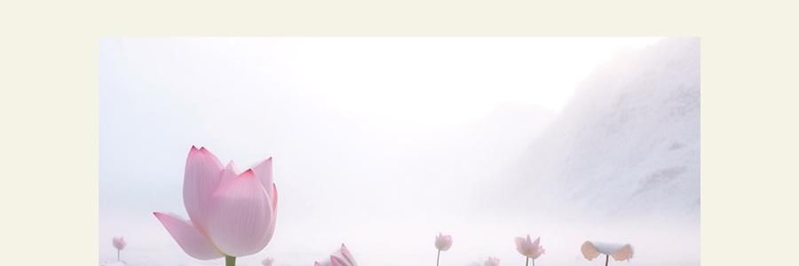 QILI其里 小恐龙的诞生香氛套装 香氛套盒 香薰蜡烛礼物伴手礼盒 春醒 70g+50ml