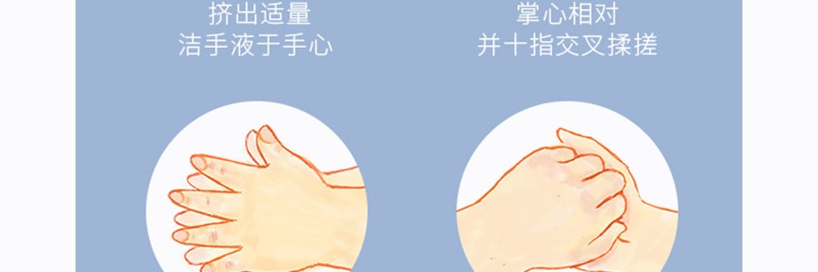日本第一石鹸 药用杀菌消毒洗手液 配合保湿成分 西柚香 250ml【勤洗双手】