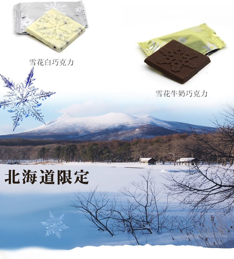 【日本直郵】DHL直郵3-5天到 日本北海道HOKKADO 雪花巧克力 牛奶黑巧克力 17枚 改新版