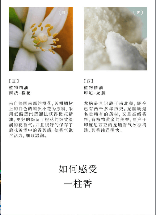 空山時 線香【清幽水生調】龍腦和橙香的結合 25.5cm*30支入 附贈玉石香插*1