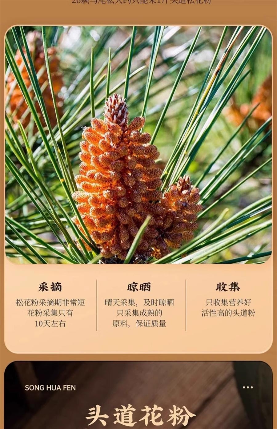 【中国直邮】 国药药材 松花粉原粉精选马尾松罐装食品级泡水泡茶调节肠胃  延缓衰老  美容护肤    200g/罐