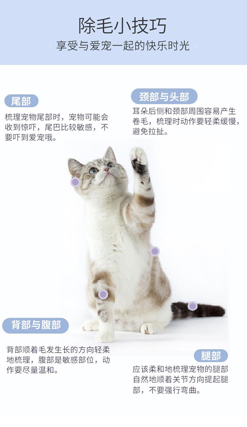  得乐 【德国红点设计大奖作品】大眼萌除毛梳一把 宠物按摩梳毛专用梳子宠物清洁美容用品去浮毛 【一键回收梳齿,毛发一片脱落】