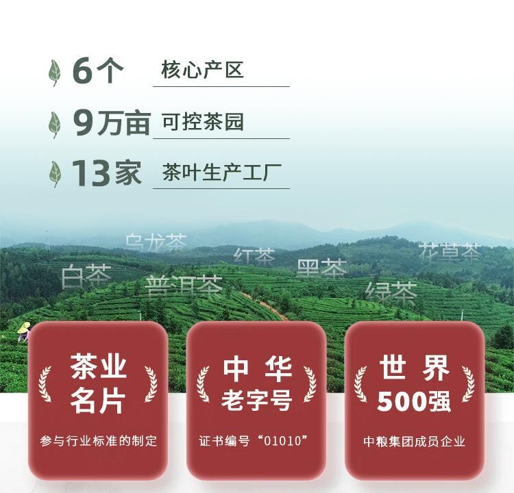 中茶 雲南普洱茶葉 熟茶Y562 罐裝 100g