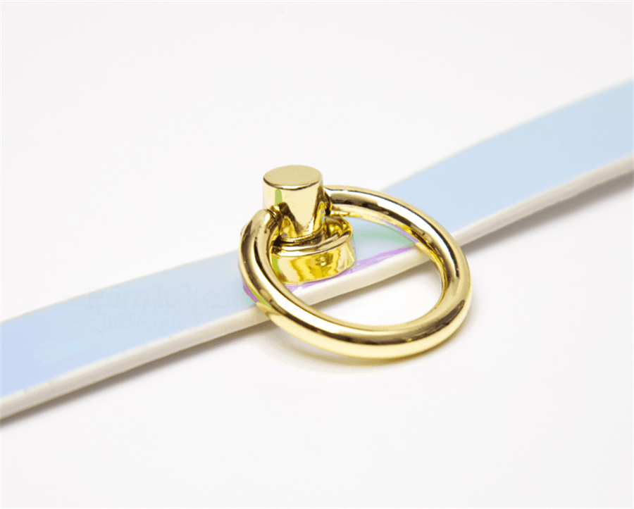 BDSM Iridescent Professional Training Bondage Set with Lead Chain and Paddle