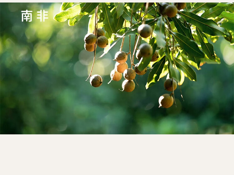 [中國直郵] New Leaf 每日堅果原味無添加混合果仁純堅果 175g/袋