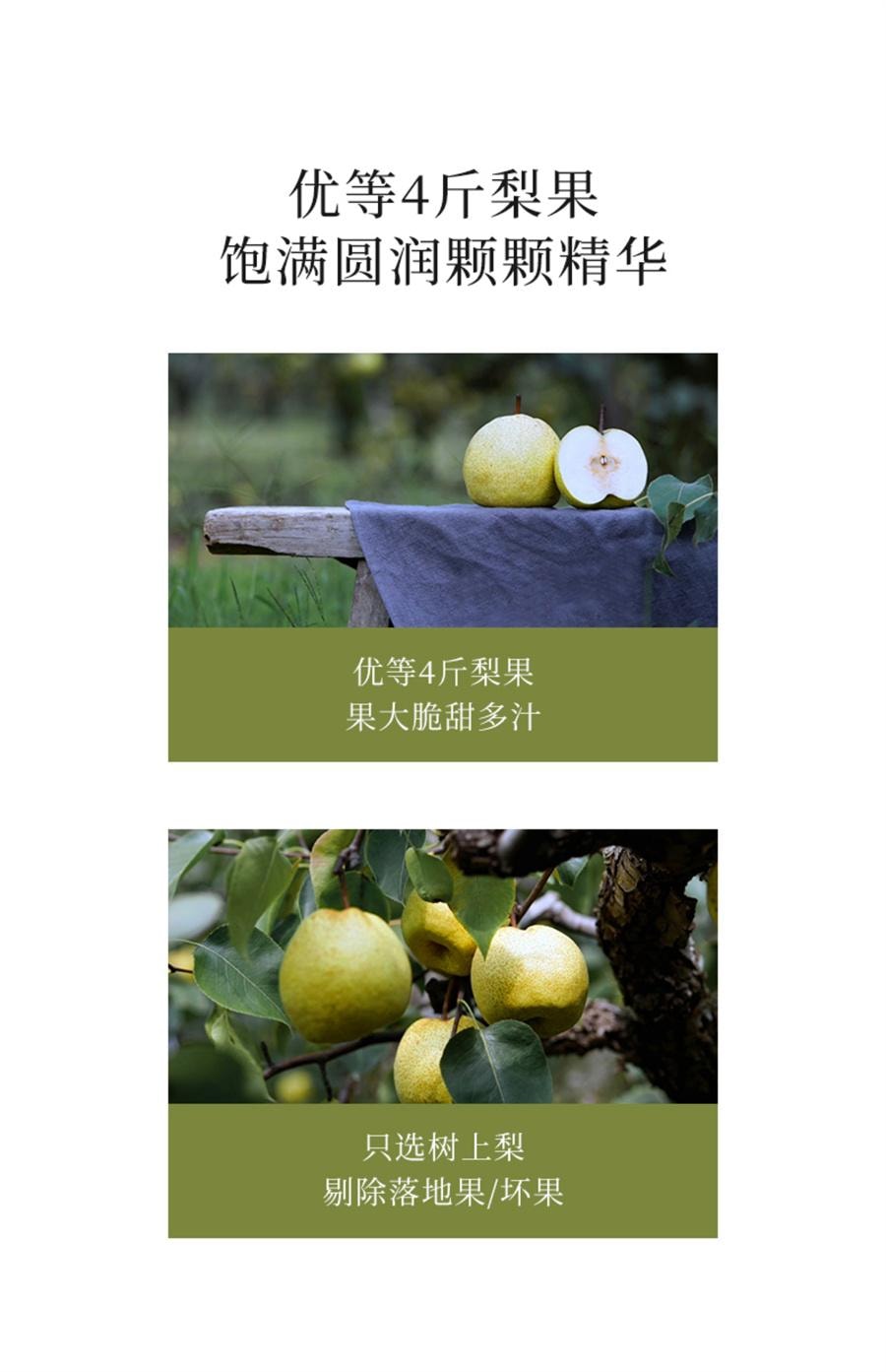【中國直郵】 喜純 純梨膏 古法熬製梨膏精選碭山酥梨純梨膏泡水兒童純梨膏無添加200g/罐