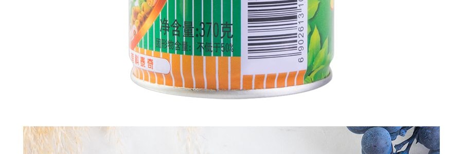 泰奇 八寶粥 天然無添加 370g