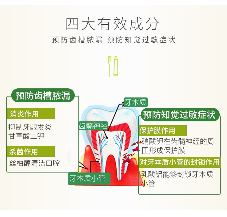 【日本直邮】日本KOBAYASHI 小林制药 生叶天然植物牙膏 有效防止牙痛过敏 红色装 100g