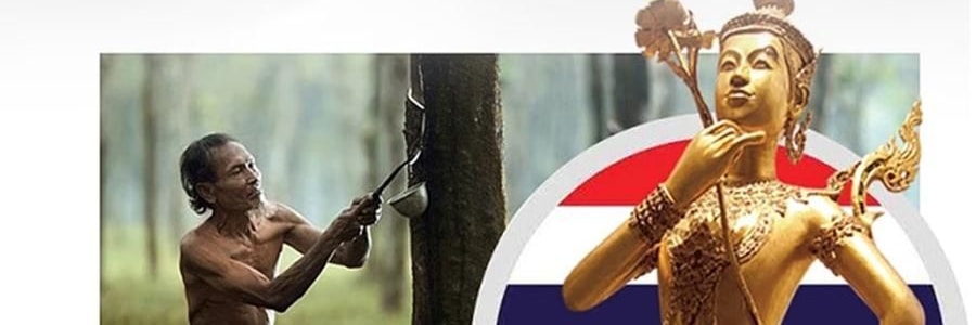 FUANNA富安娜 臻逸泰国乳胶枕头 天然乳胶 人体工学设计 58*39cm