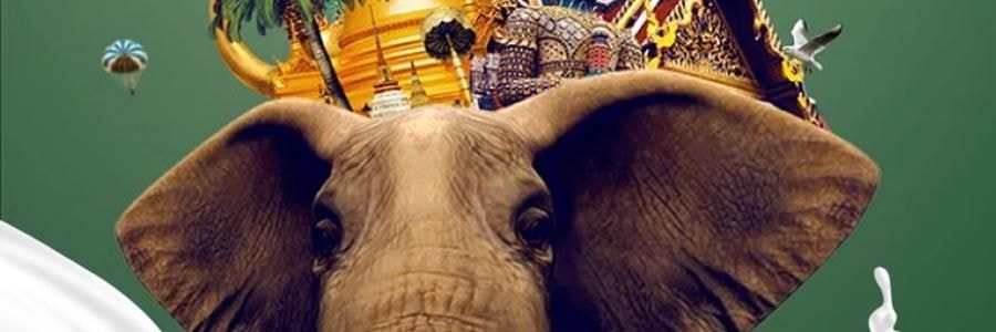 FUANNA富安娜 臻逸泰国乳胶枕头 天然乳胶 人体工学设计 58*39cm