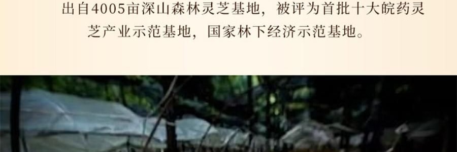 李良济 破壁灵芝孢子粉胶囊 0.3g*100粒 增强免疫力 