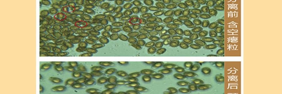 李良济 破壁灵芝孢子粉胶囊 0.3g*100粒 增强免疫力 