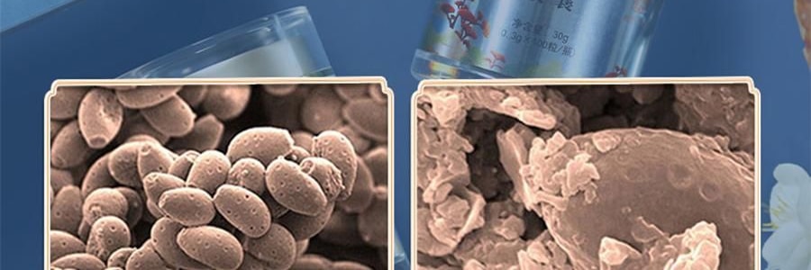 李良济 破壁灵芝孢子粉胶囊 0.3g*100粒 增强免疫力 