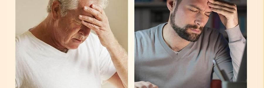 李良济 破壁灵芝孢子粉胶囊 0.3g*100粒 增强免疫力 