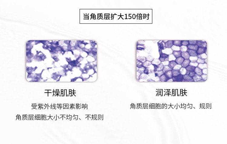 【日本直效郵件】POLA寶麗 MOISTISSIMO系列 高保濕抗敏感舒緩面膜 深層補水 修補屏障 6枚入 敏感肌專研