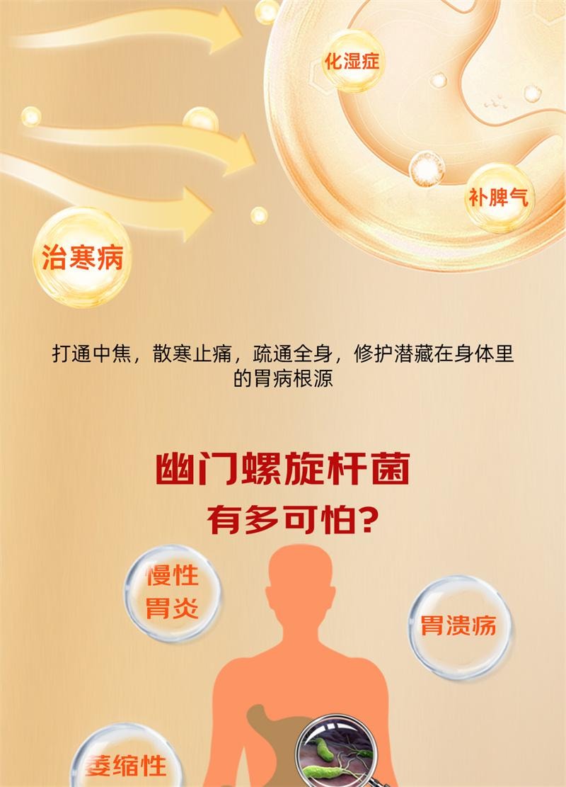【中國直郵】 A1 中國 雪山胃寶丸24丸/盒正品胃脹痛慢性胃炎胃寒脾胃虛弱養胃健胃消食腸胃用藥
