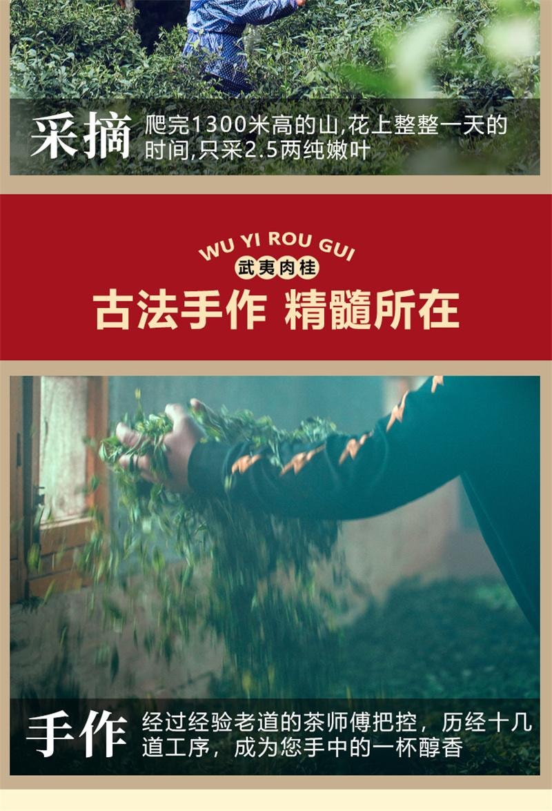 【中國直郵】 真尚一飲 肉桂大紅袍茶葉烏龍茶正宗武夷岩茶散茶罐裝禮盒 250g