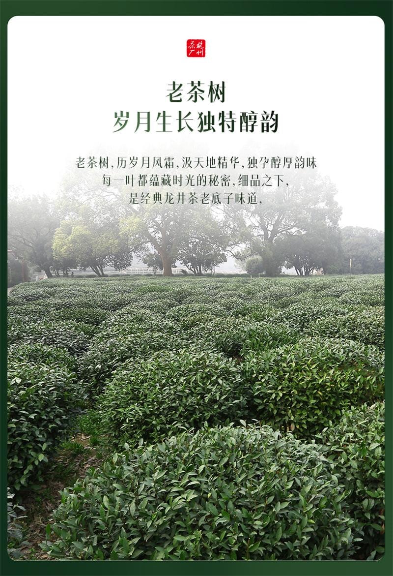 【中國直郵】西湖牌 2025新茶上市西湖龍井 明前特級老茶樹綠茶茶葉散裝春茶 200克