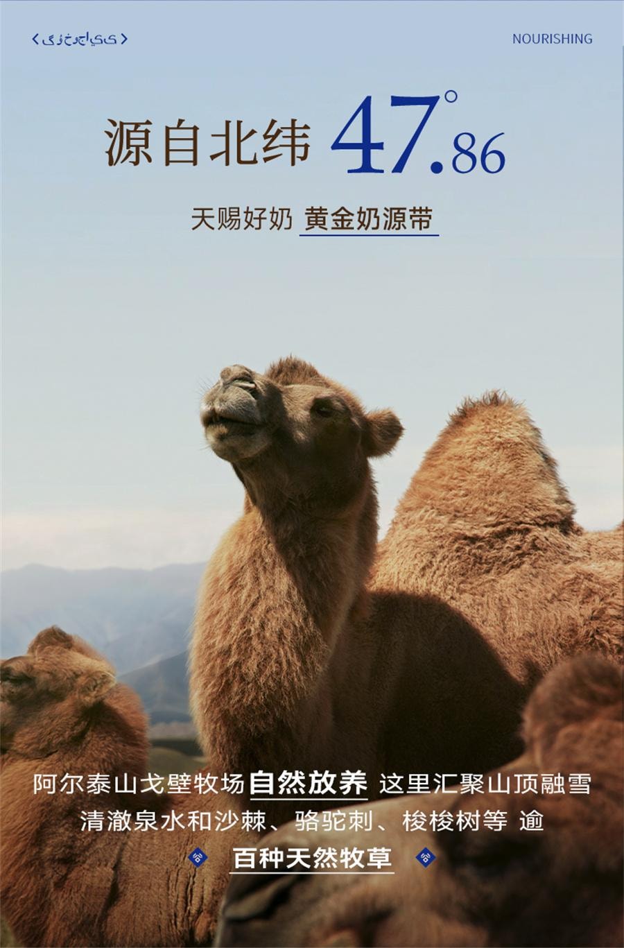 【中國直郵】 谷掌櫃 新疆駱駝奶片駝奶片無加蔗糖兒童營養高鈣駝奶貝 100g/罐