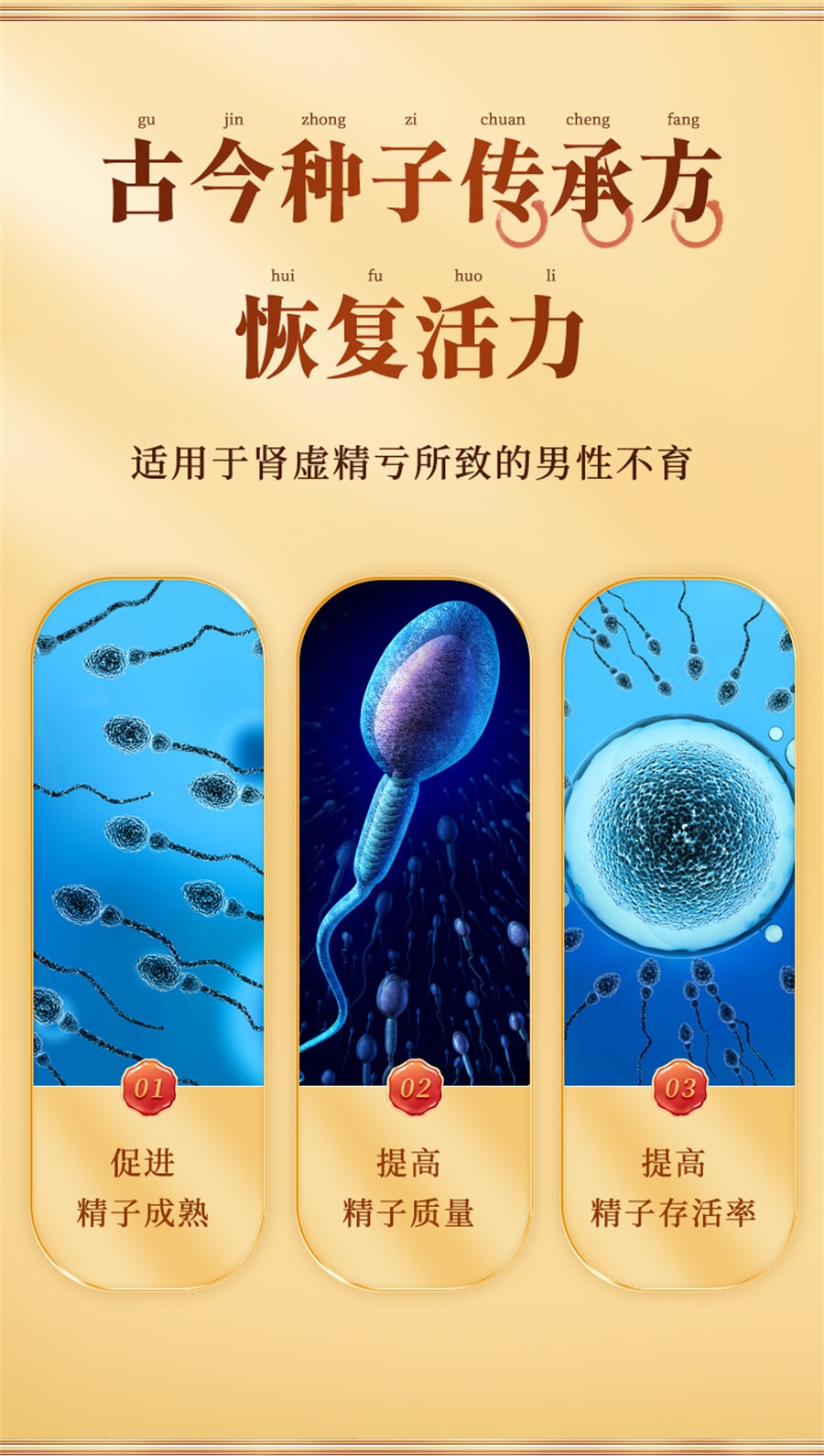 【中國直郵】恩威 五子衍宗丸衍宗子丸補腎固精強腎陽痿早洩治療男用持久中藥補壯陽 60g*3瓶/盒