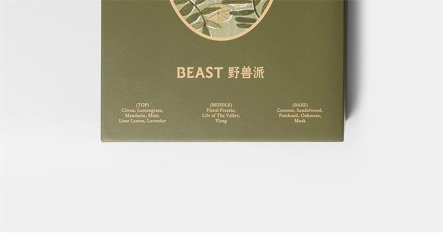 【中國直郵】 THEBEAST野獸派 龔俊同款 穀雨時節擴香香氛晶石香薰禮盒生日禮物 綠色