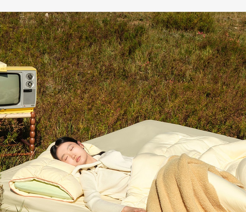 中國拉芙菲爾奶蓋枕睡眠助眠專用護頸椎枕分區慢回彈記憶棉枕頭