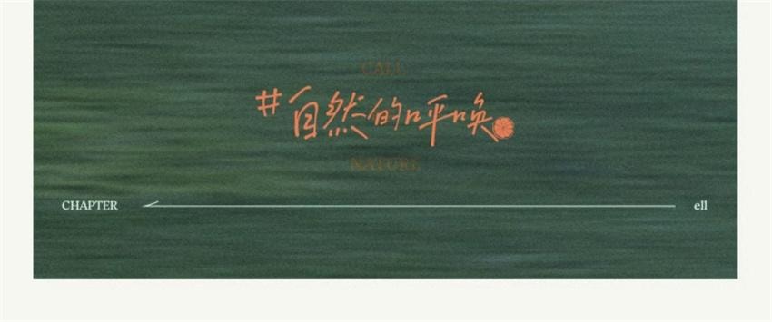 【中国直邮】ELI 西柚氨基酸净肤洁面泥 收敛毛孔粗大洁面泥深层清洁去黑头洗面奶 100g/支