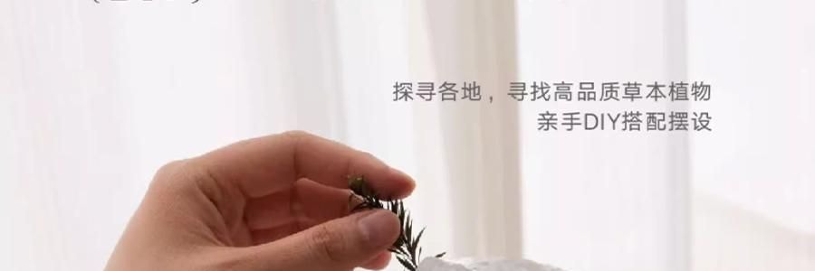 宋朝 四季閒庭系列擴香石擺件 送禮好物 高級香氛 綠葉調 容器*1 擴香石*1袋 精油*2 乾花*1包 #綠野仙踪