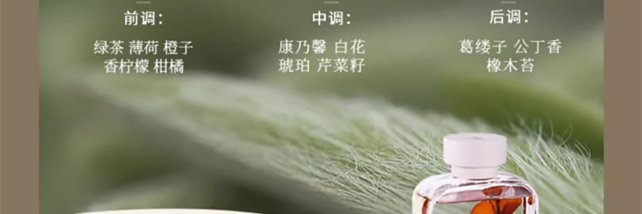 宋朝 自然萬物系列無火香薰 空氣清新香膏精油 升級款柑橘綠茶 200ml