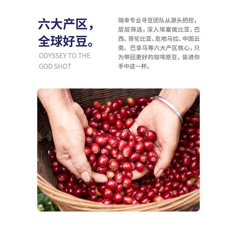 中国 瑞幸咖啡 冷萃即溶咖啡-3风味混合装 2.3g*18颗