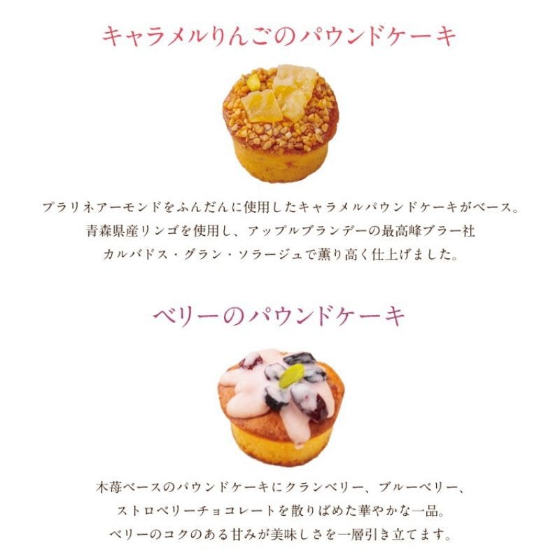 【日本直邮】 TOKYO 超人气伴手礼 多种水果口味磅蛋糕 6个装