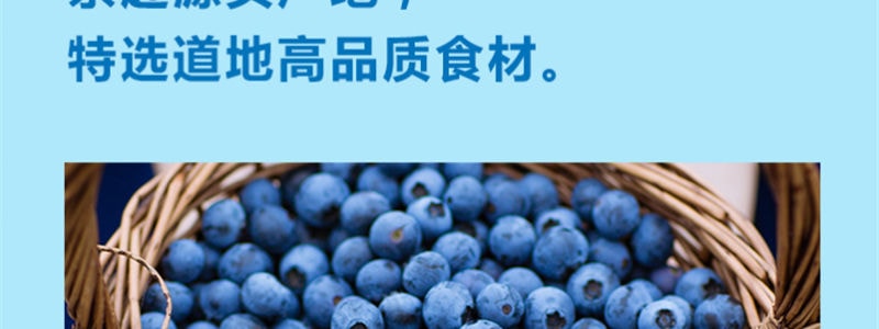 小碗良食 炯炯原榨蓝莓萃 一勺蓝莓膏 满满花青素10支入【老少皆宜健康饮】