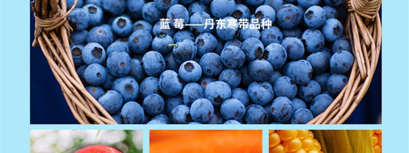 小碗良食 炯炯原榨藍莓萃 一匙藍莓膏 滿滿花青素10支入【老少皆宜健康飲】