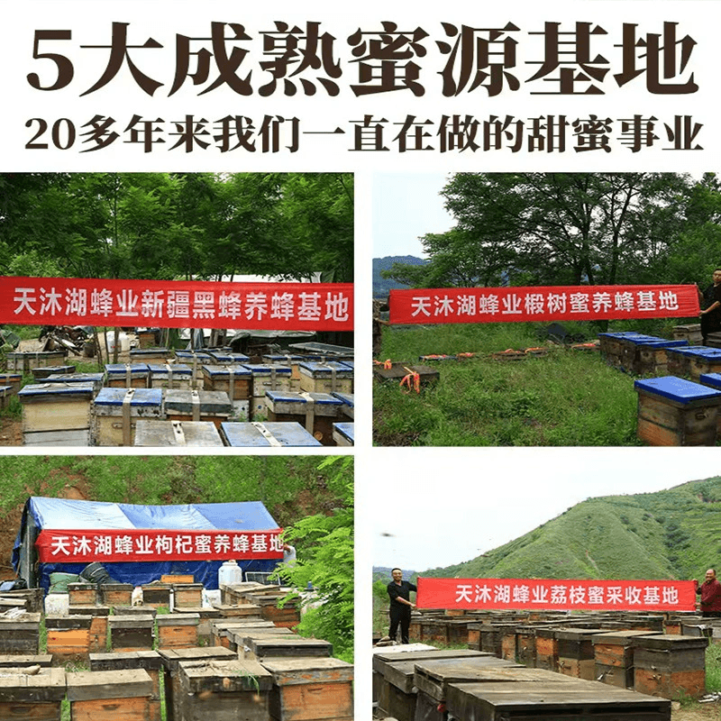 花知酿 嚼着吃【蜂巢蜜】迷你便携独立小包装【内6小杯】180克*1袋