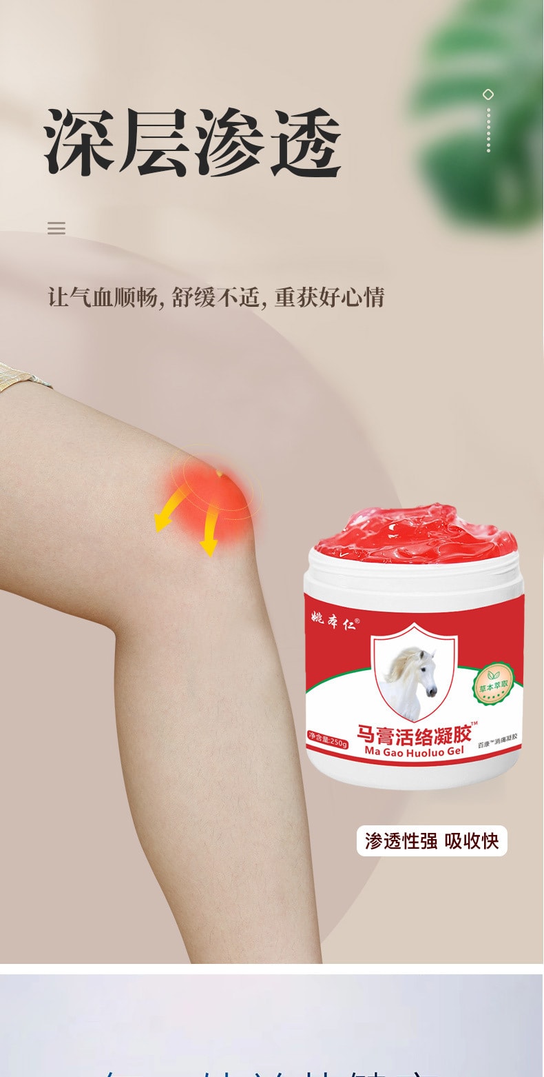 【中國直郵】 姚本仁 馬膏活絡凝膠 肩周脖子頸椎腰椎膝蓋關節不適250g/盒