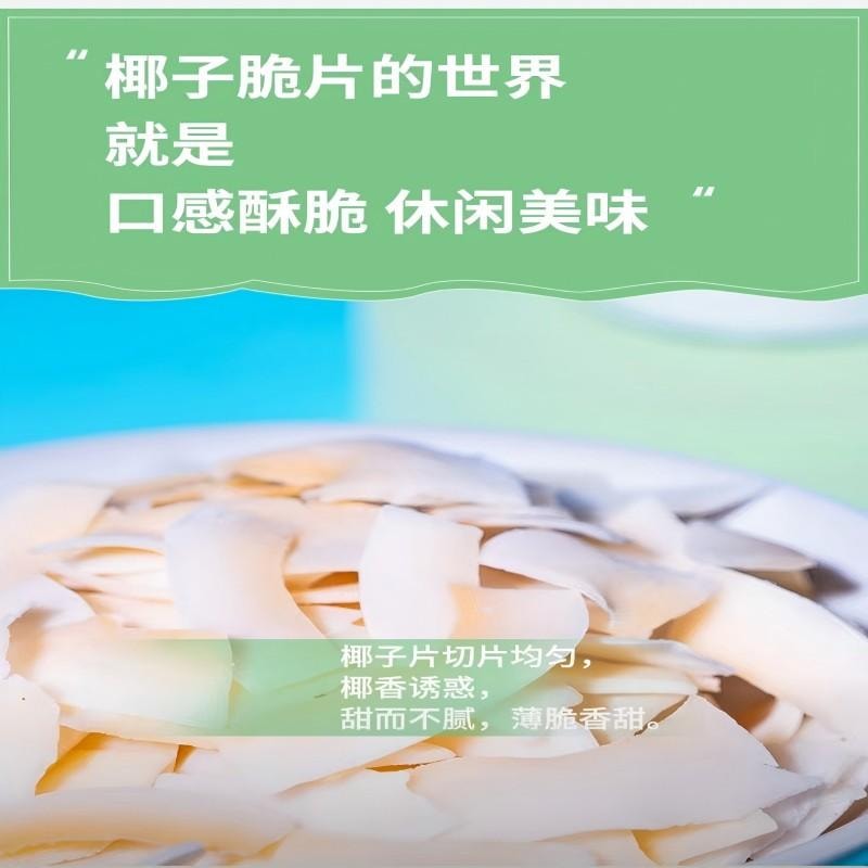 【中國直郵】 新邊界 椰子脆片海南特產原味椰子片即食零食烤椰子肉薄脆椰果乾食品小吃休閒零食200g