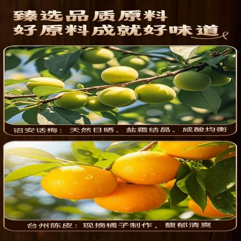 【中國直郵】華味亨陳皮話梅160g/罐 蜜餞果乾 陳皮話梅肉梅子乾水果乾果脯零食