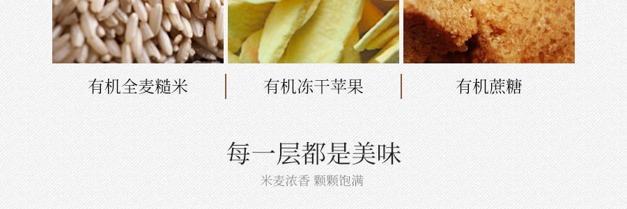 韓國JAYONE 有機米花棒 蘋果肉桂口味 60g USDA認證