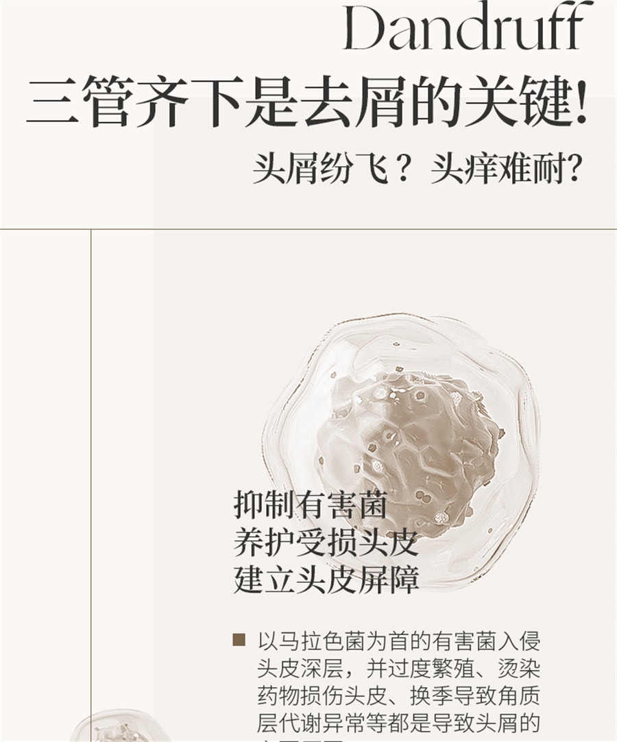 【中國直郵】Roye若也 去屑洗髮洗頭膏止癢控油蓬鬆去屑洗髮露男女洗護 236ml