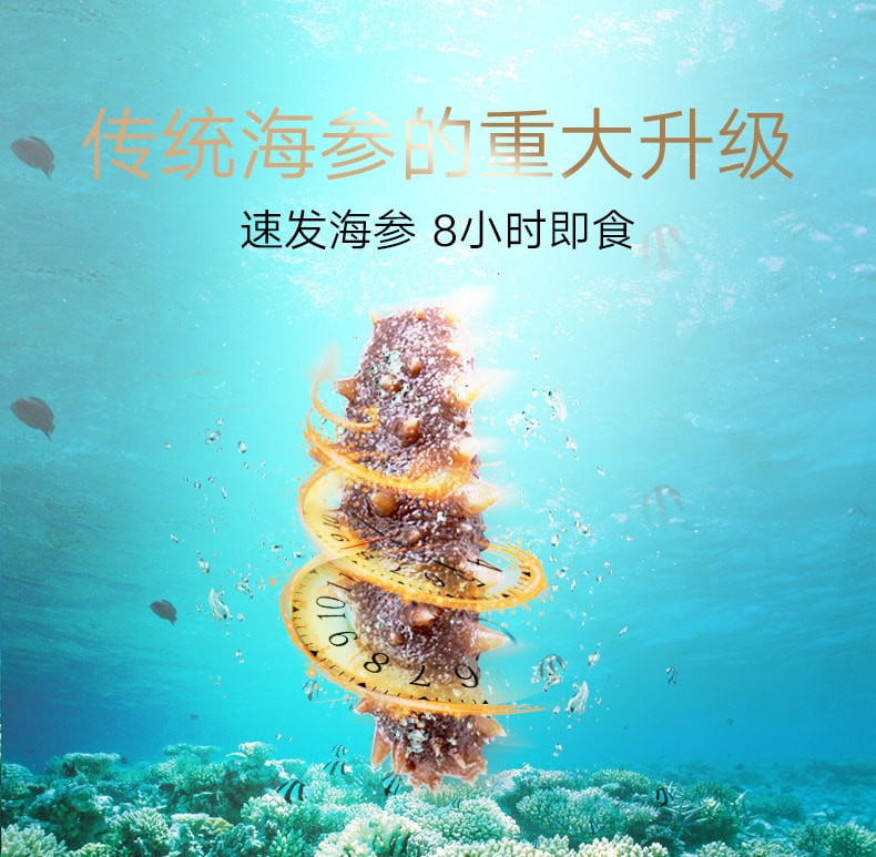 Dried Sea Cucumber Hai Shen 30g