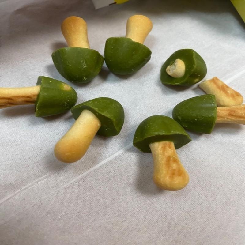 【日本直邮】日本 MEIJI明治 经典人气小零食 蘑菇形宇治抹茶巧克力饼干 64g(已更新包装)