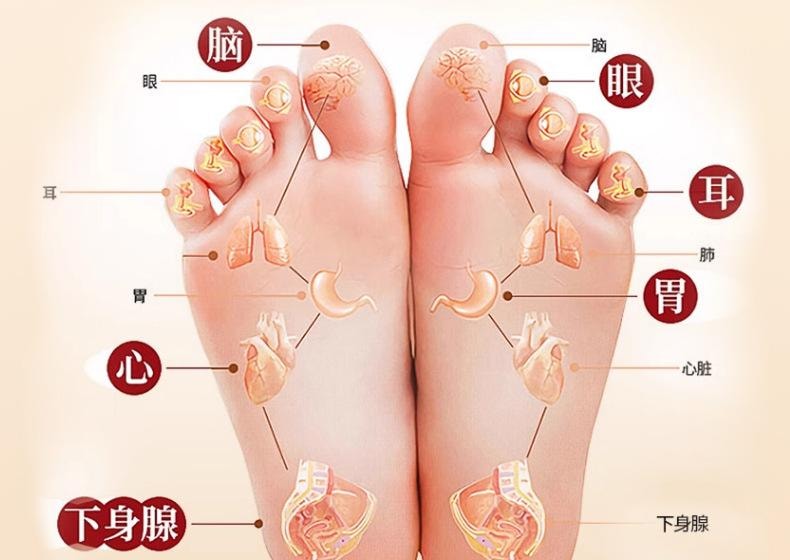 【中国直邮】 李时珍 元气茯苓八珍足贴 艾草足贴老北京足底贴脚部穴位贴艾草贴 30贴/盒【养生必备】