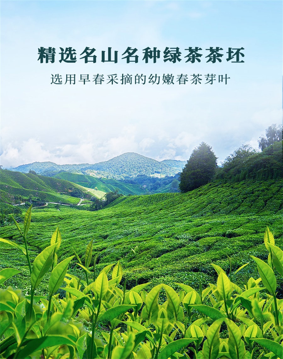 【中國直郵】張一元 茶葉茉莉花茶茉莉香茗濃香型春茶新茶(茶語)特級100g罐裝