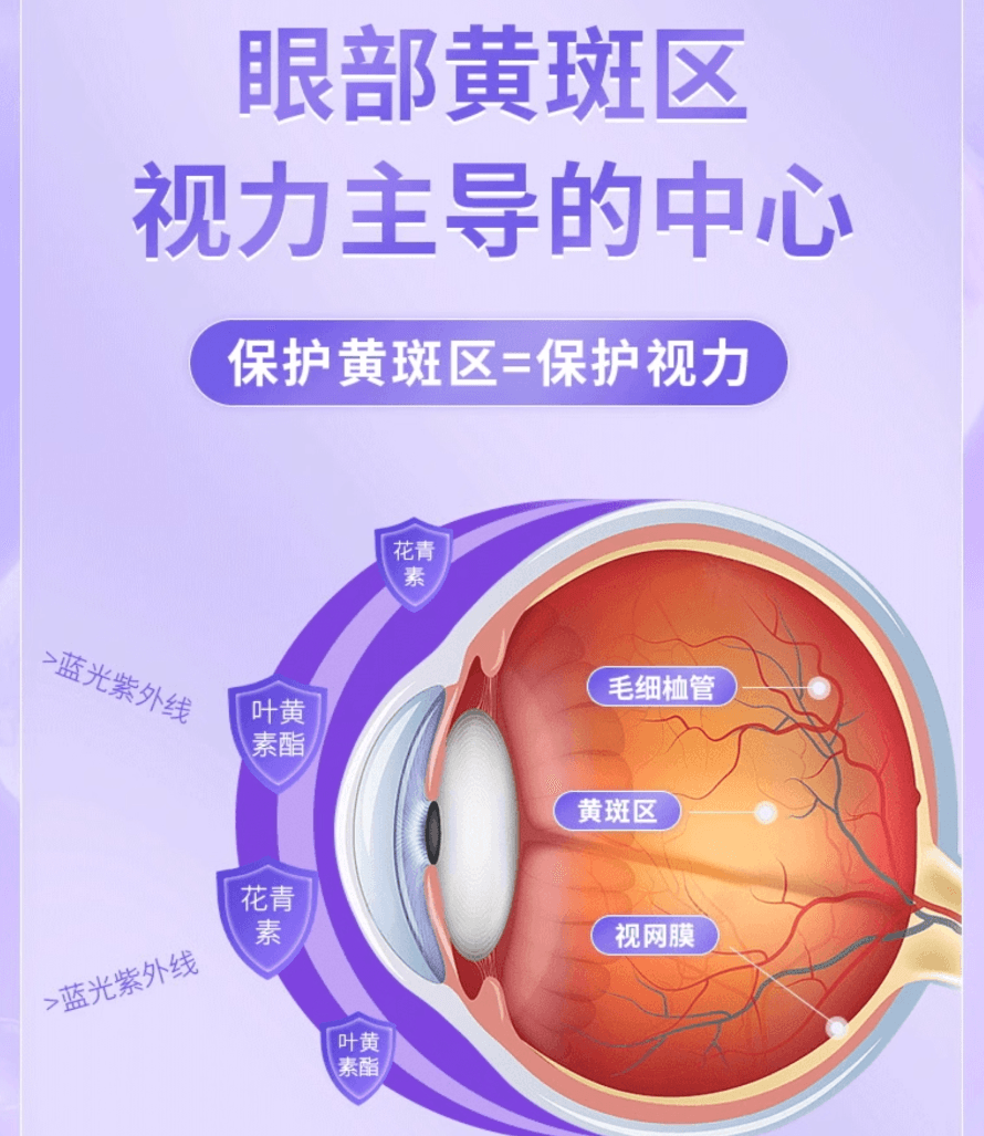 【日本直邮】POLA护眼丸2024年最新款花青素叶黄素科学配比 去黑眼圈缓解眼部疲劳90粒3个月量