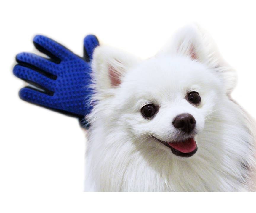 台灣美好時光 宠物梳理毛髮手套 一雙 藍色