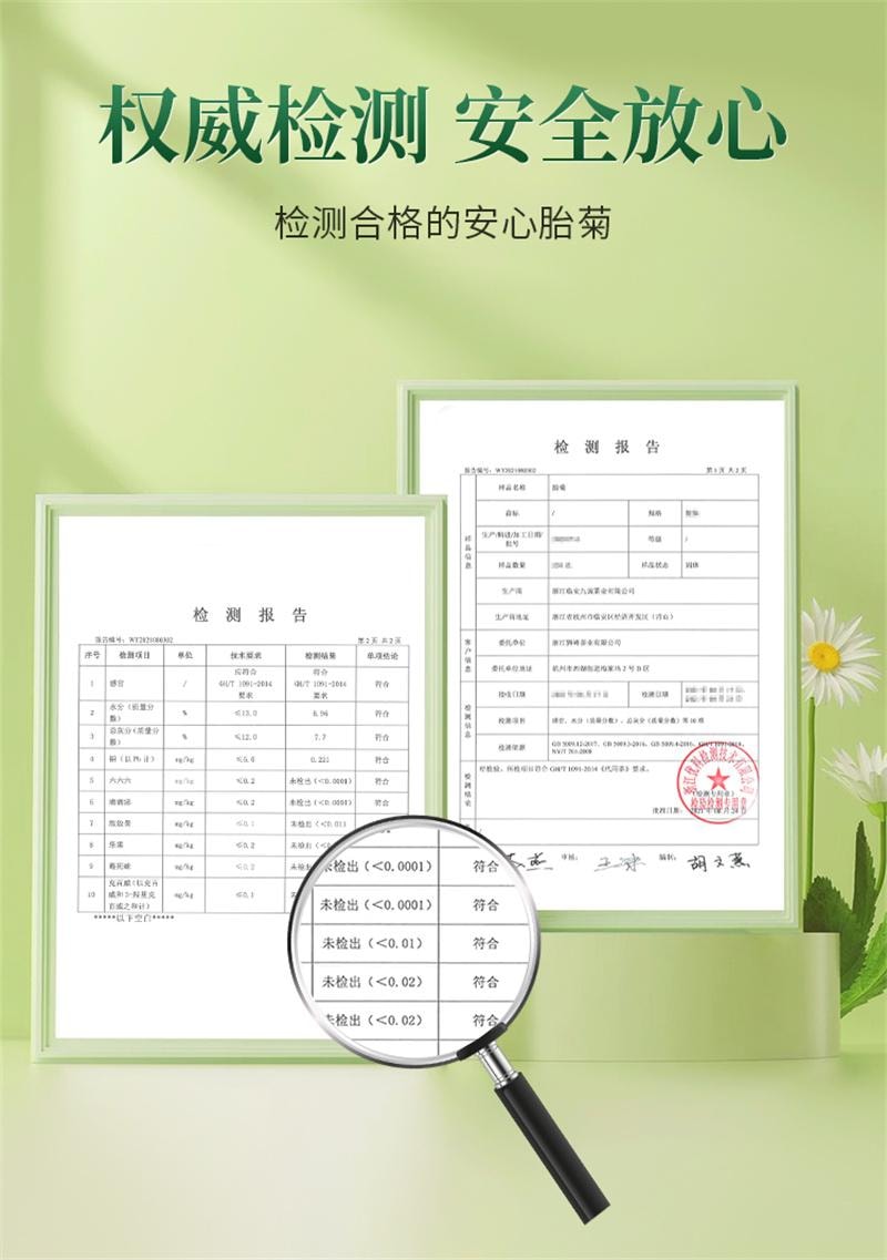 【中國直郵】 獅峰茶葉 桐鄉胎菊杭白菊正品花茶葉乾燥花罐裝花草茶菊花茶 40g