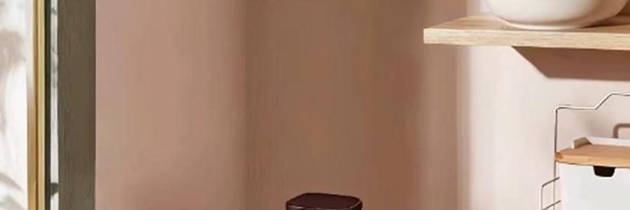 ZENO 紫砂电炖锅 多功能电砂锅电炖盅 煲汤锅炖汤锅 4L-ZSD-406U【限量送磁力搅拌咖啡杯】