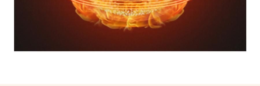 ZENO 紫砂电炖锅 多功能电砂锅电炖盅 煲汤锅炖汤锅 4L-ZSD-406U【限量送磁力搅拌咖啡杯】