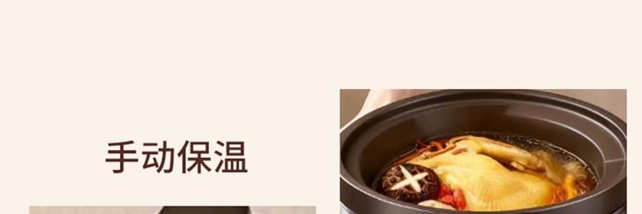 ZENO 紫砂电炖锅 多功能电砂锅电炖盅 煲汤锅炖汤锅 4L-ZSD-406U【限量送磁力搅拌咖啡杯】