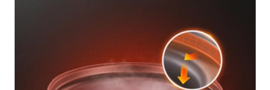 ZENO 紫砂电炖锅 多功能电砂锅电炖盅 煲汤锅炖汤锅 4L-ZSD-406U【限量送磁力搅拌咖啡杯】